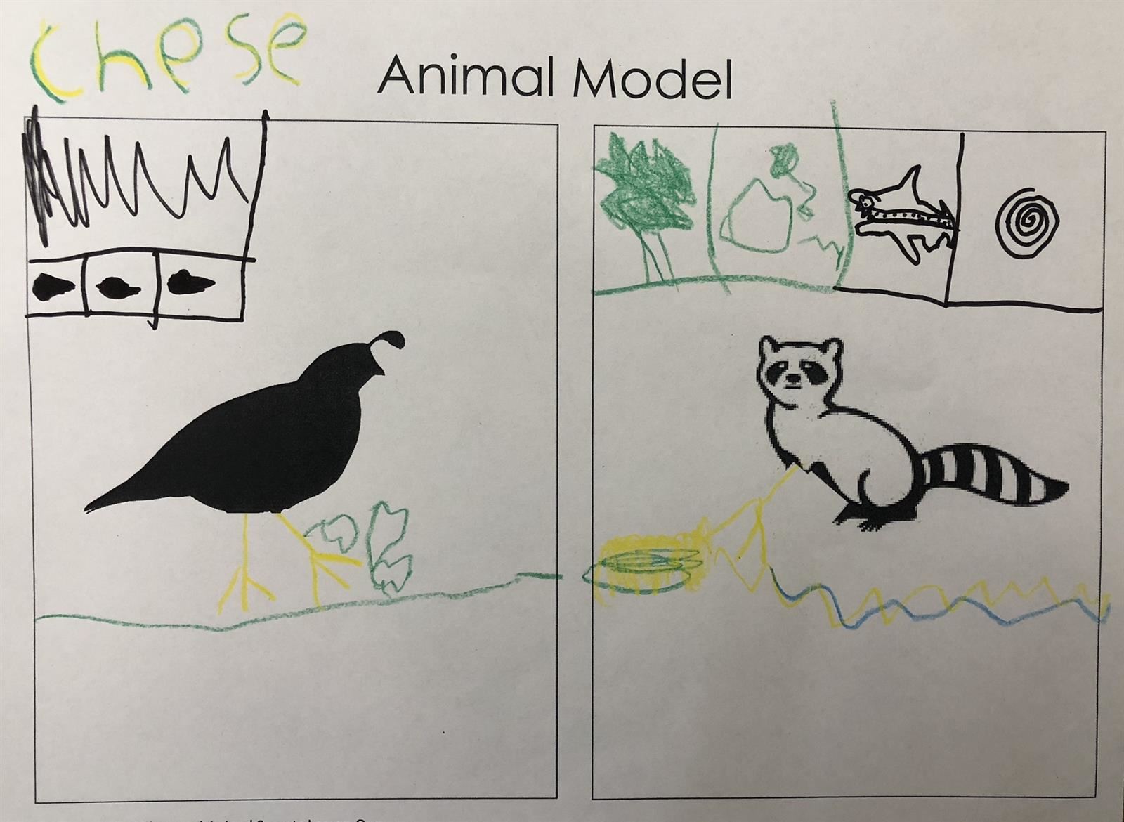 Model of Animals and Their Food Sources